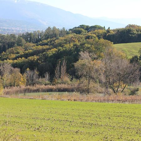 Agriturismo La Ginestrella Civitella D'Arna Zewnętrze zdjęcie