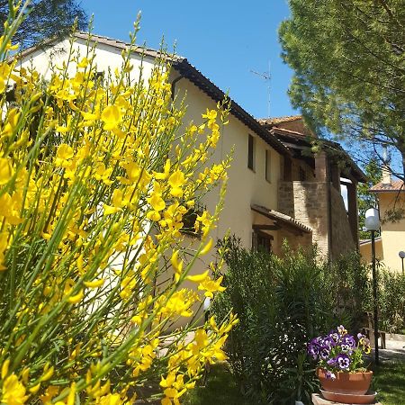 Agriturismo La Ginestrella Civitella D'Arna Zewnętrze zdjęcie