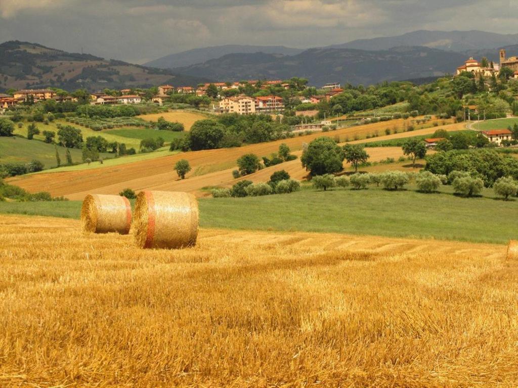 Agriturismo La Ginestrella Civitella D'Arna Zewnętrze zdjęcie